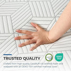 10 Inch Memory Foam Queen Mattress for Back Pain Relief and Cool Sleep, Gel Foam, CertiPUR-US Certified - LuxeHome Furniture